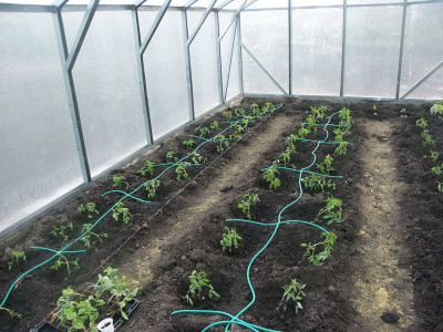  Путівник встановлення мікрозрошення в теплиці