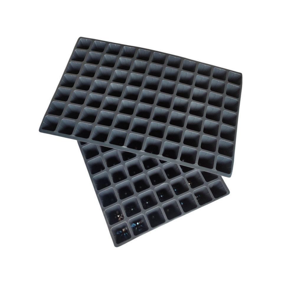 Касета для розсади 600 × 395 мм (77 комірок)